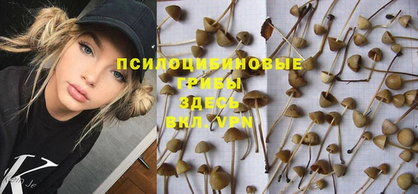 а пвп мука Новодвинск